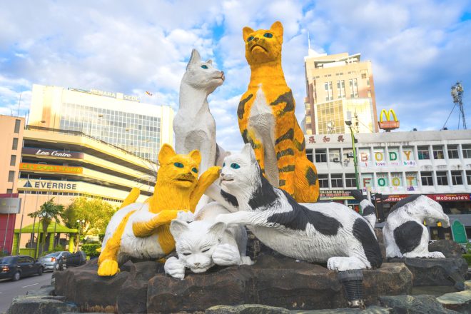 Kuching signifie aussi Chat en malais