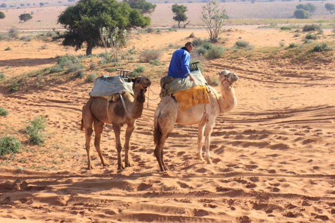 malaisie visa maroc