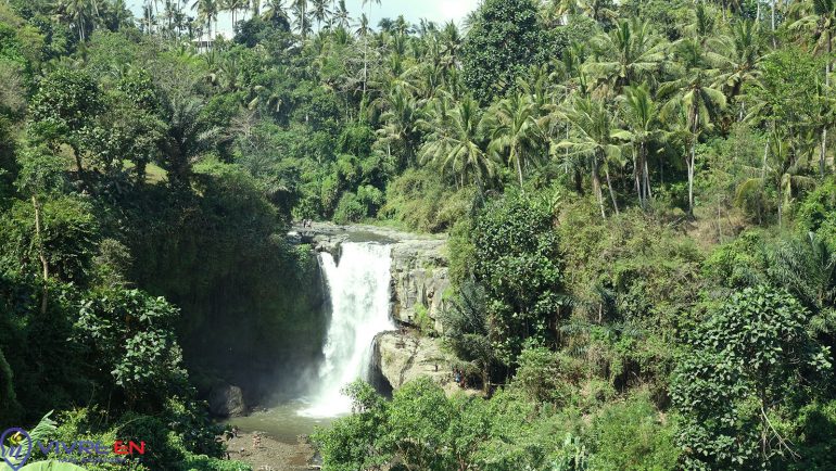 Circuit Indonésie Malaisie - Bali Ubud