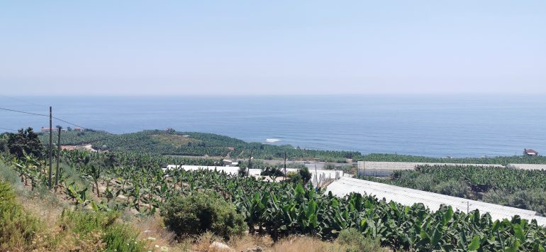 Le climat en Turquie - Alanya - Très chaud en été Le climat en Turquie - Alanya - Très chaud en été