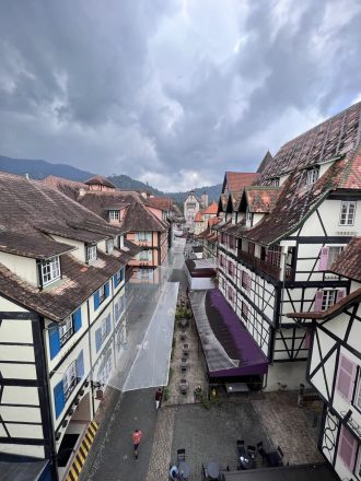 Colmar Malaisie vue de la tour