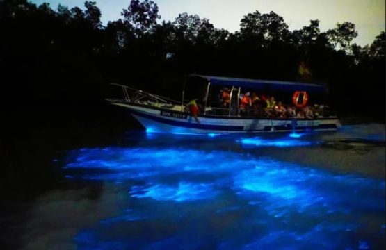 Blue tears Kuala Selangor