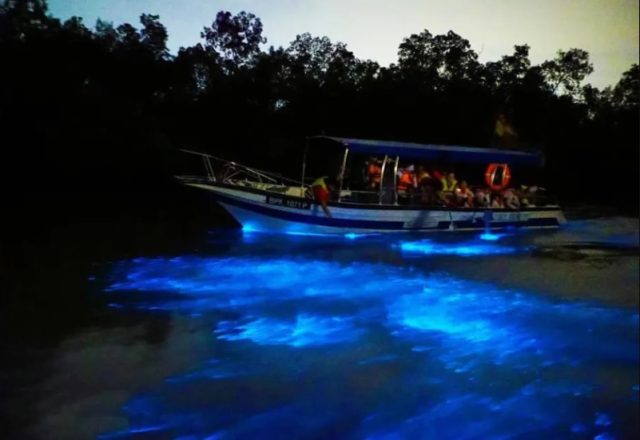 Blue tears Kuala Selangor