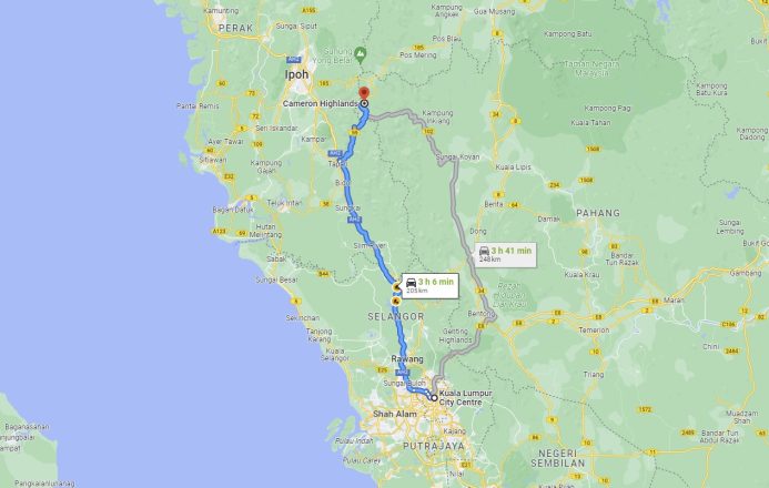 3h de voiture pour rejoindre Cameron Highlands et ses plantations de thé Cameron highlands depuis Kuala Lumpur