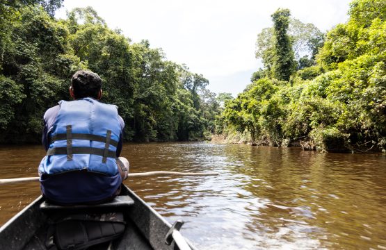 Taman negara croisière à bord d'un bateau, au Tembeling river (Pahang, Malaisie)