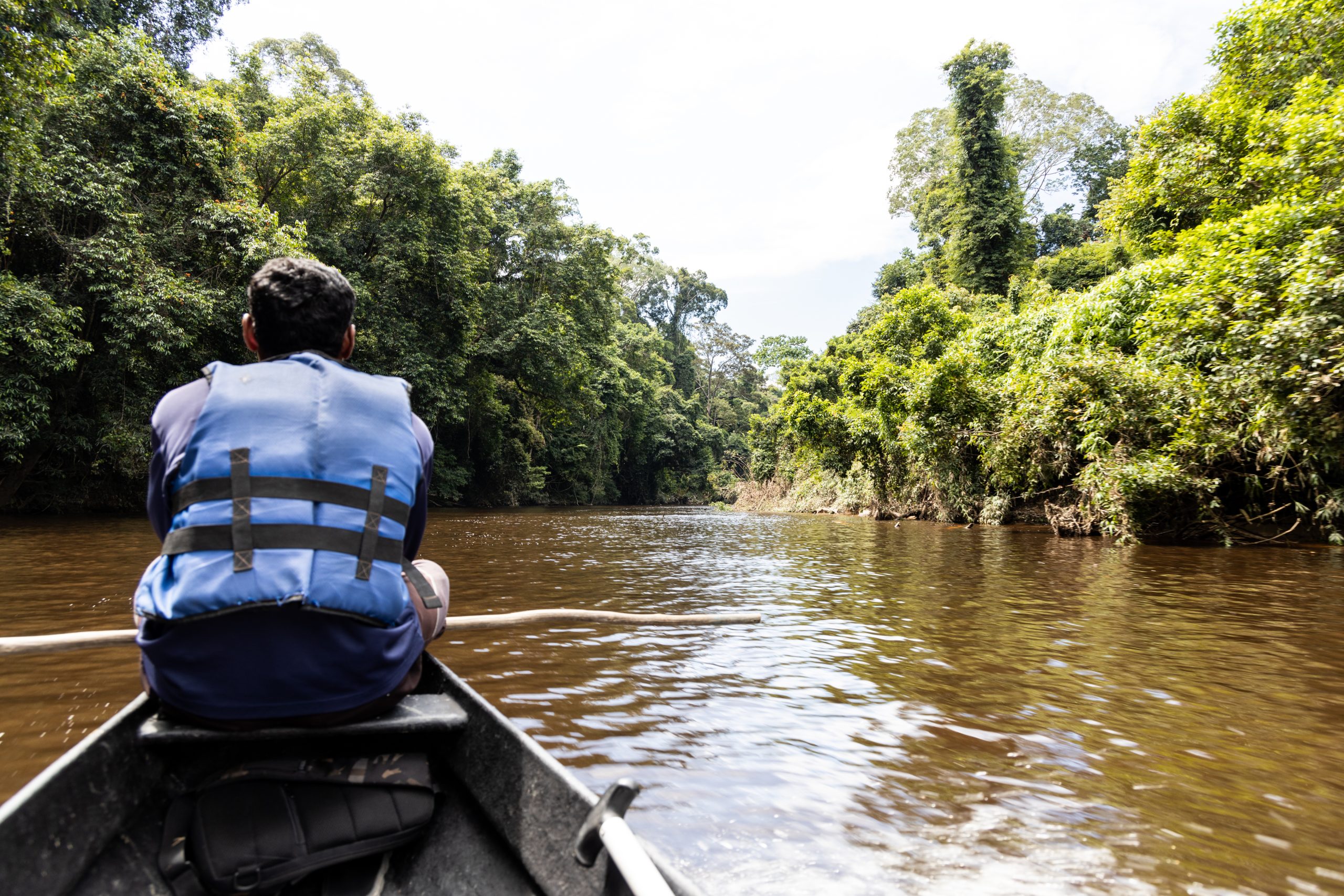 Taman negara croisière à bord d'un bateau, au Tembeling river (Pahang, Malaisie)