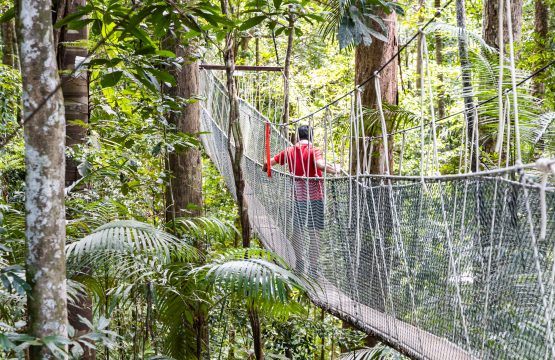 Excursion Taman Negara avec un guide