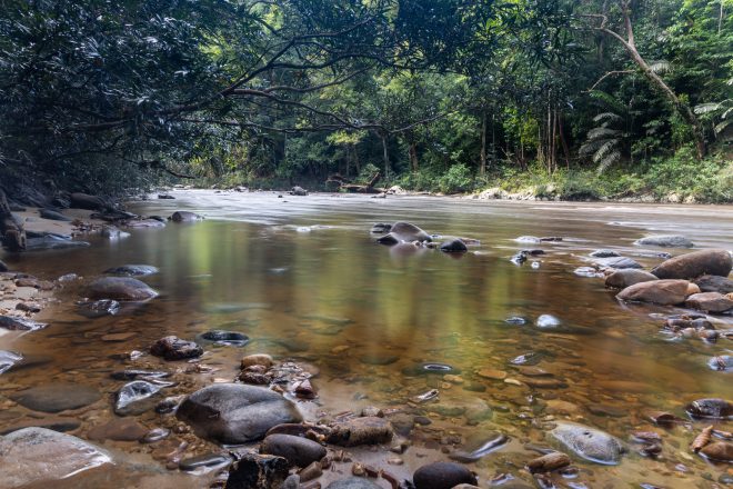 Excursion Taman Negara depuis Kuala Lumpur Explorer Taman Negara, et découvrez Tahan River