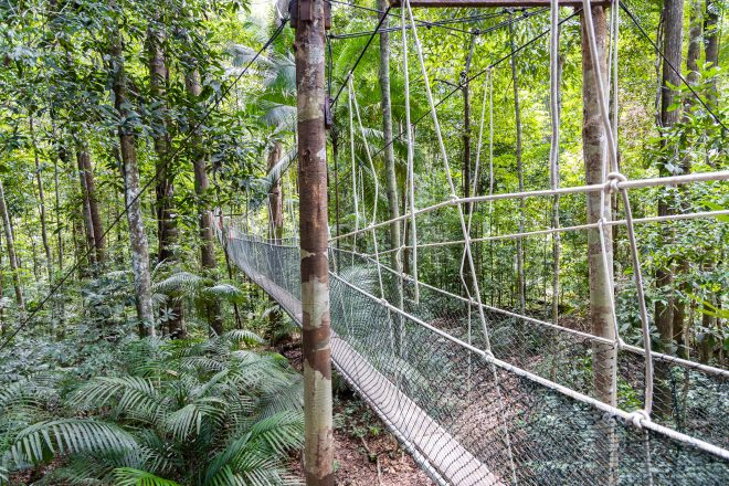 Un guide et un chauffeur seront indispensables si vous souhaitez visiter Taman Negara, le parc national de la Malaisie