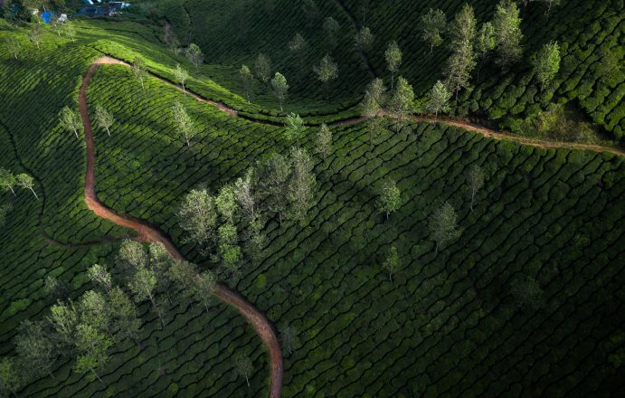 Vue au drone Cameron highlands