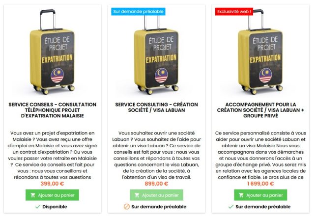 Consulting expatriation Malaisie